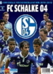 FC Schalke 04 2011/2012 (Panini)