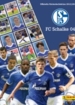 FC Schalke 04 2012/2013 (Panini)