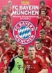 FC Bayern München 2012/2013 - Sticker (Panini)